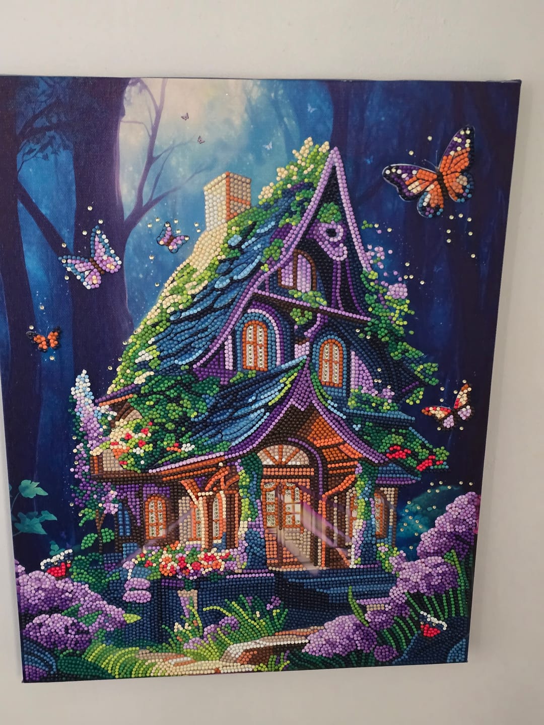 Customer photo review of “Fantasy House” Crystal Art Canvas Kit 35x45
