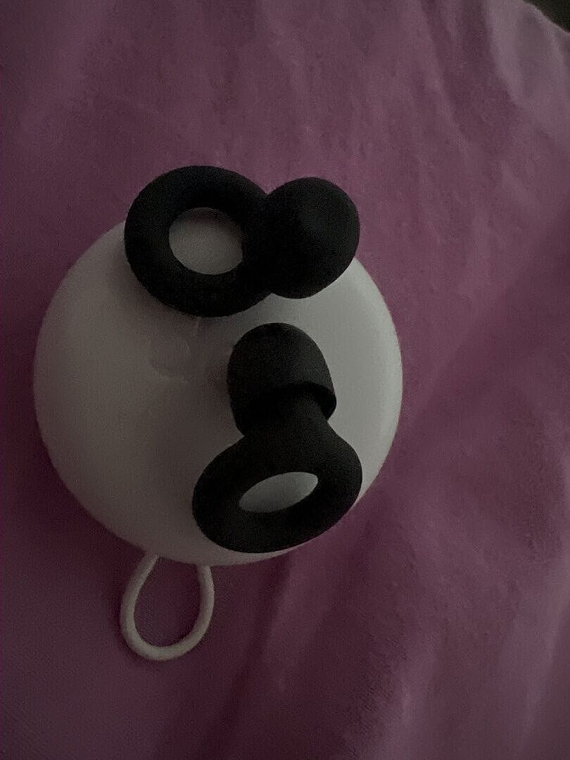 Customer photo review of Loop Quiet™ 2