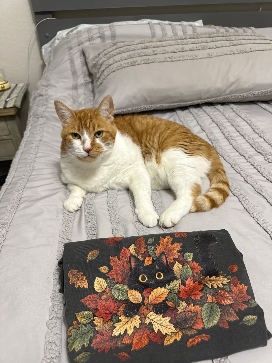 Customer photo review of Leaf Peeper Black Cat T-Shirt