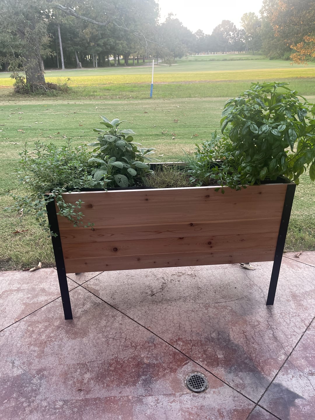 Customer photo review of Greenhouse Cover