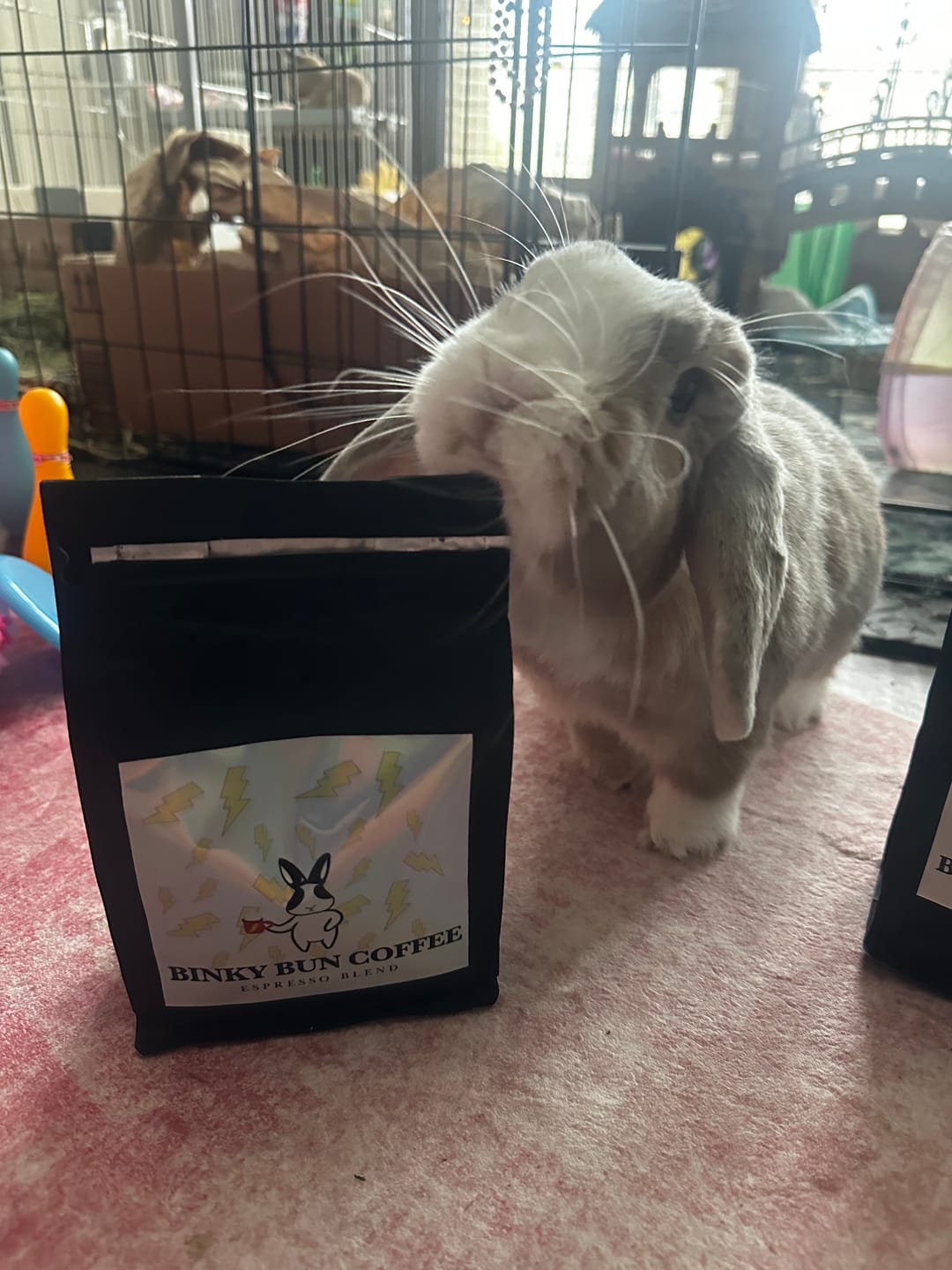 Customer photo review of Espresso Blend (Ground)