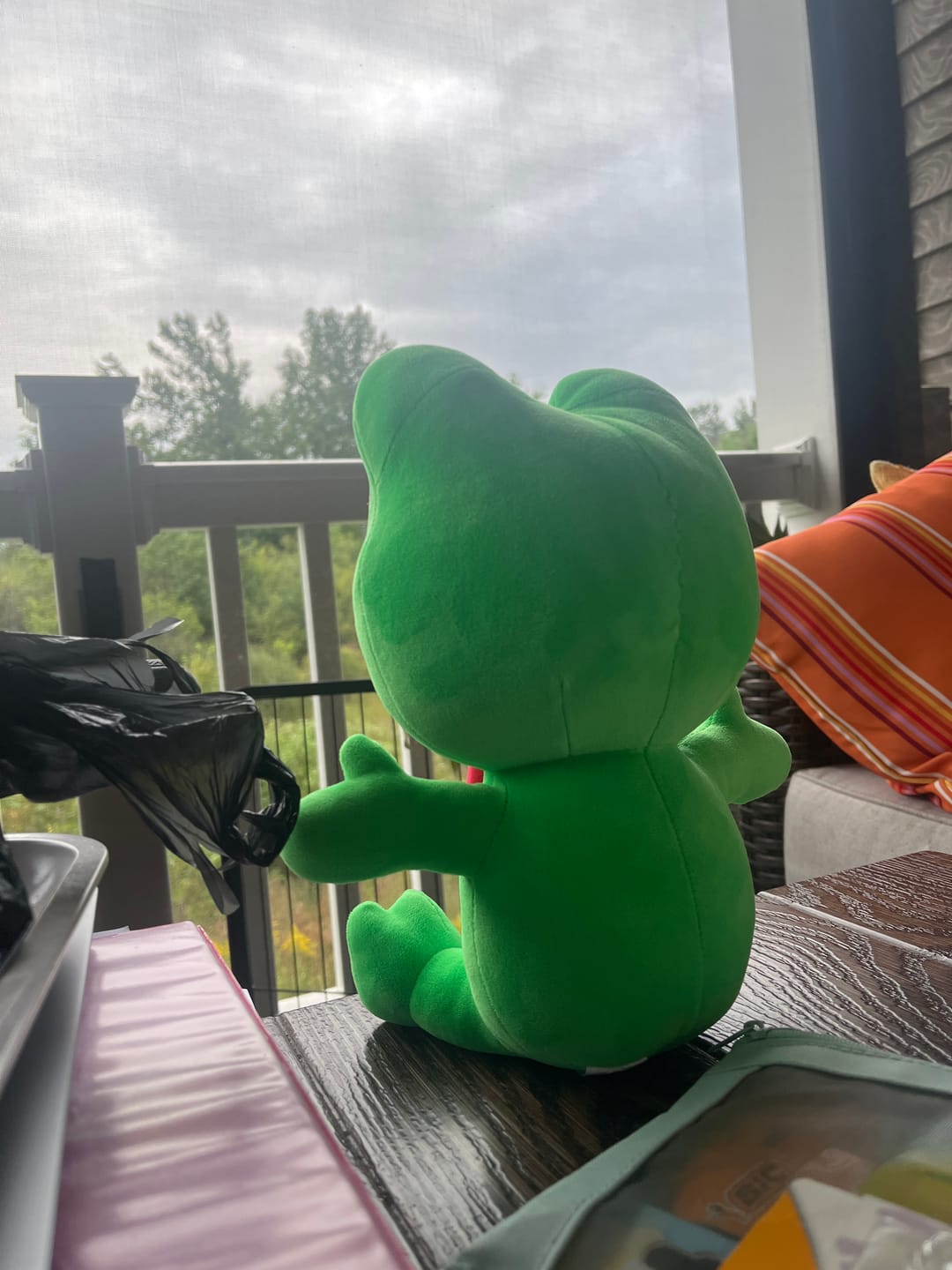 Customer photo review of Ribbit Plush