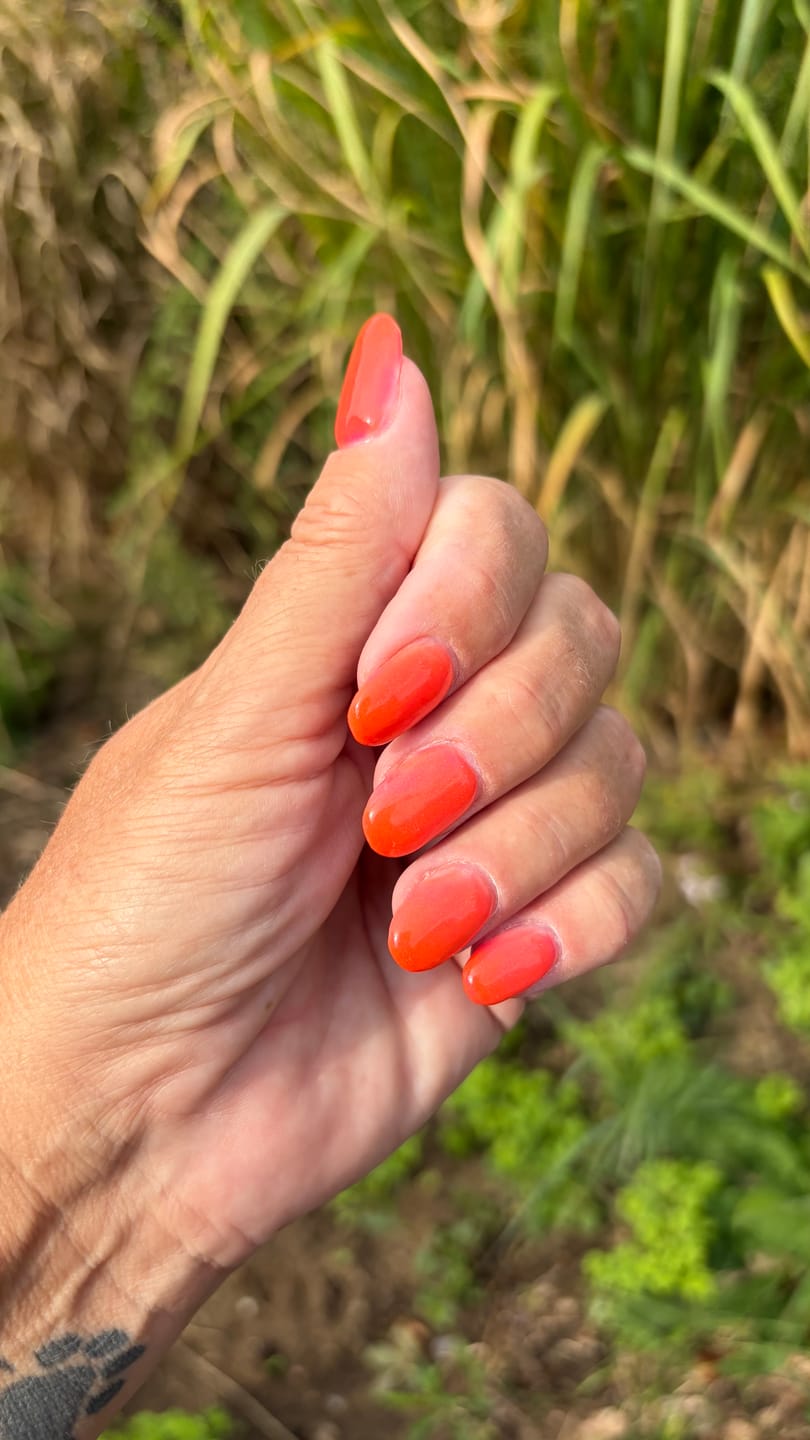 Customer photo review of Limited Edition 1 - Mood Change Dipping Powder