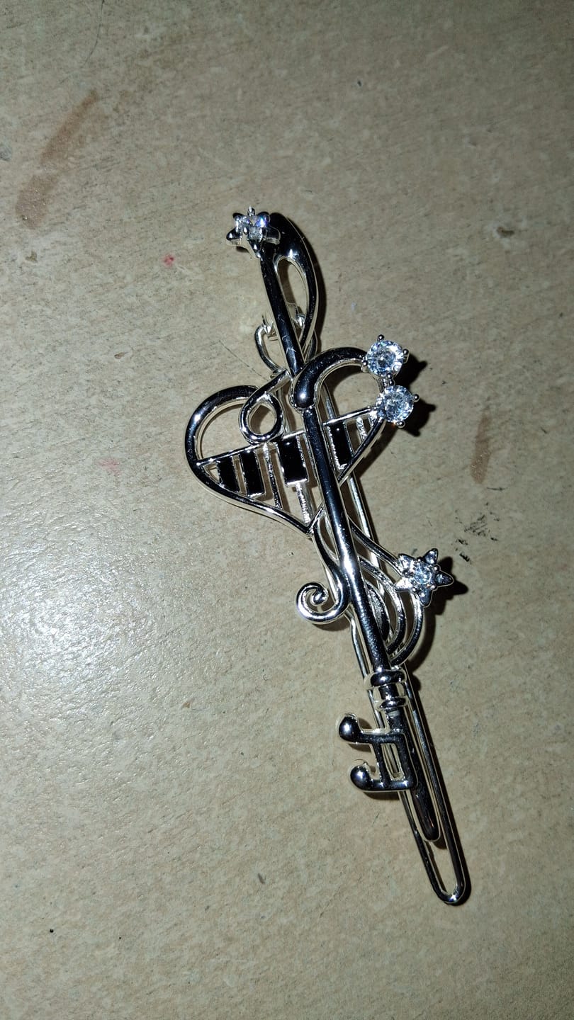 Customer photo review of Piano Keys Platinum Plating ABY Style Y2K Hair Clip™