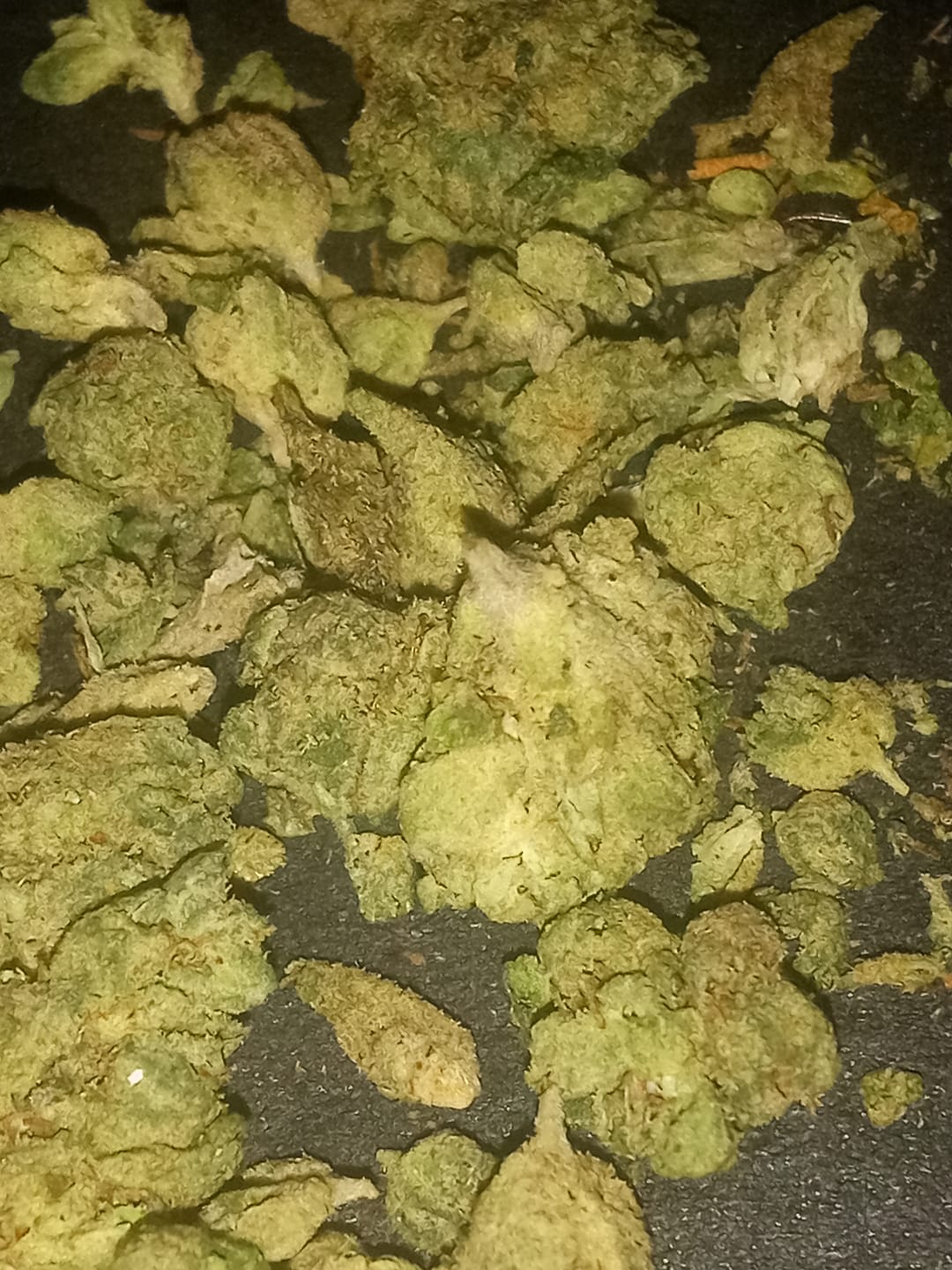 Customer photo review of Northern Lights THCA Flower
