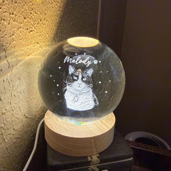 Customer photo review of Personalized Pet Portrait Crystal Ball Night Light