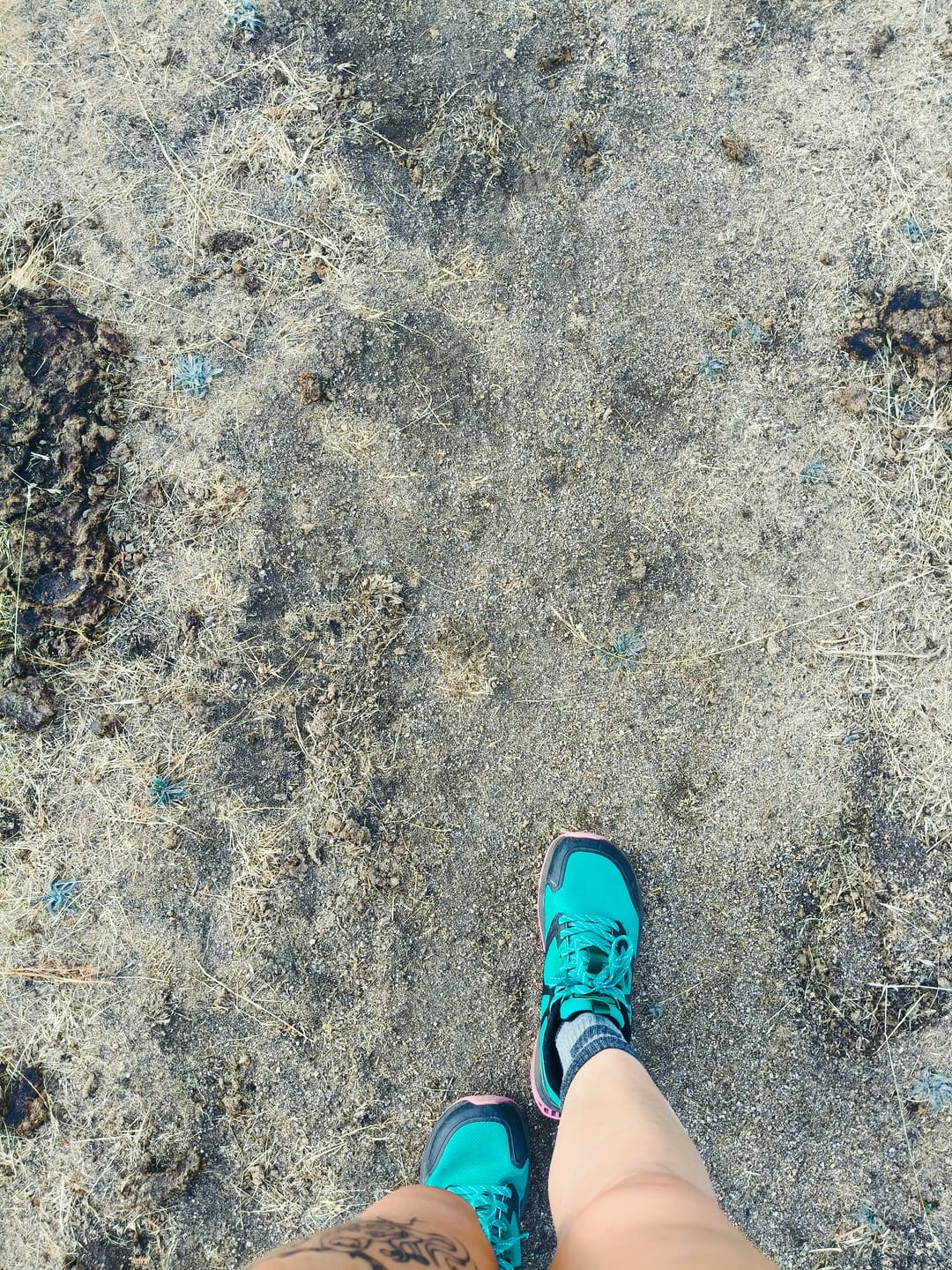 Customer photo review of Aurora - Zapatos De Punta Ancha