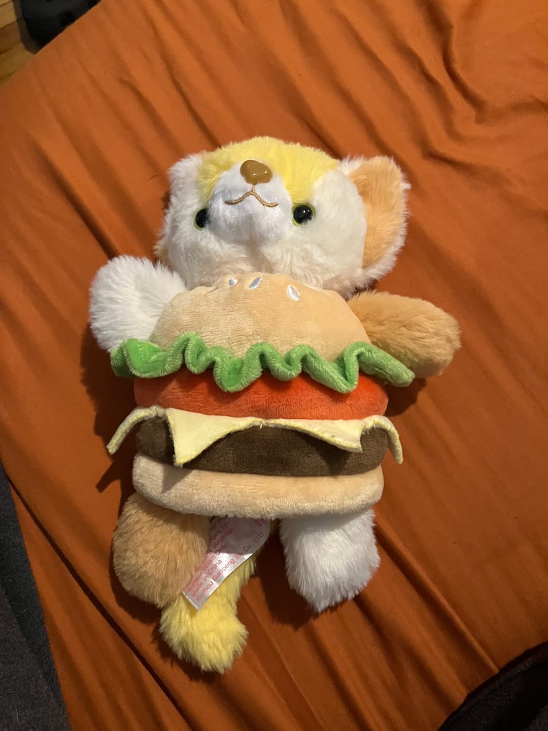 Customer photo review of Magical Noopy2 Plush - PARKER
