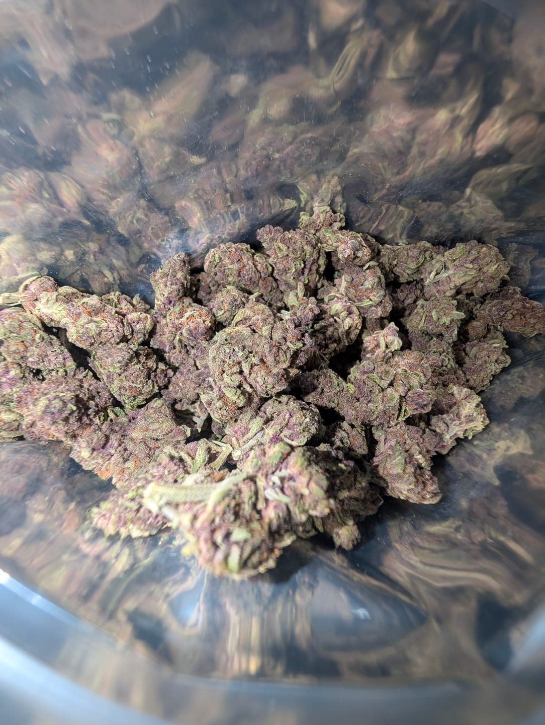 Customer photo review of Tropicana Cherry THCA Flower