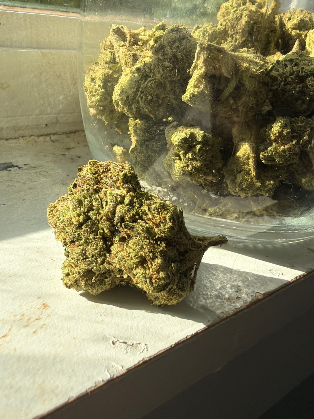 Customer photo review of Blue Sharpiez THCA Flower