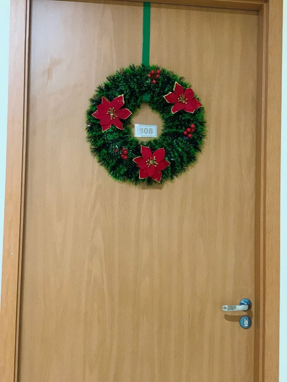 Customer photo review of Guirlanda de Natal Estruturada Decorativa 25cm e 40cm