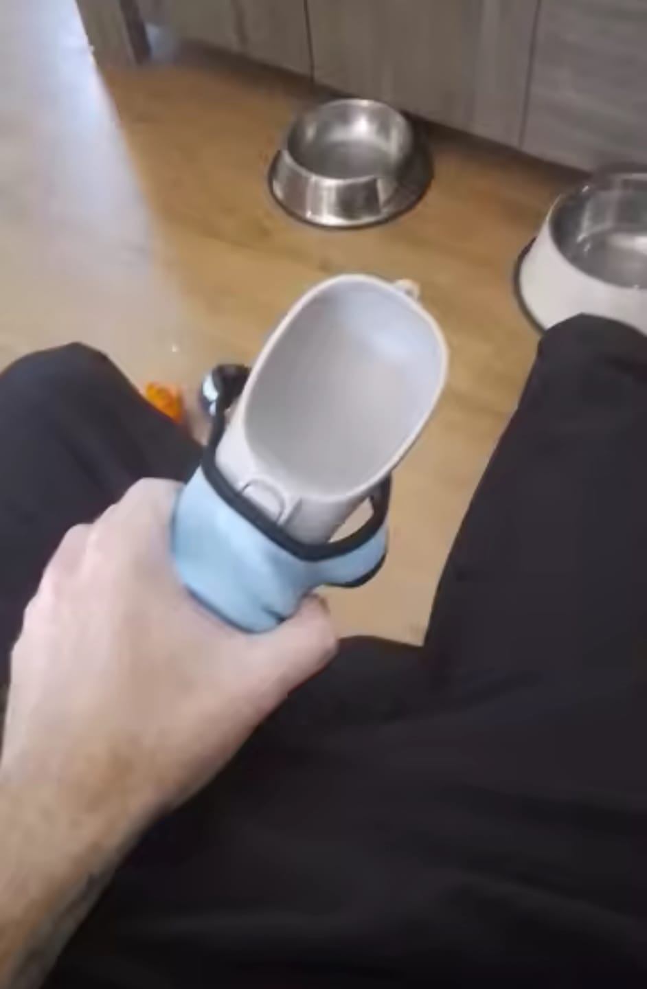 Customer photo review of Gourde portable pour chien 300ML