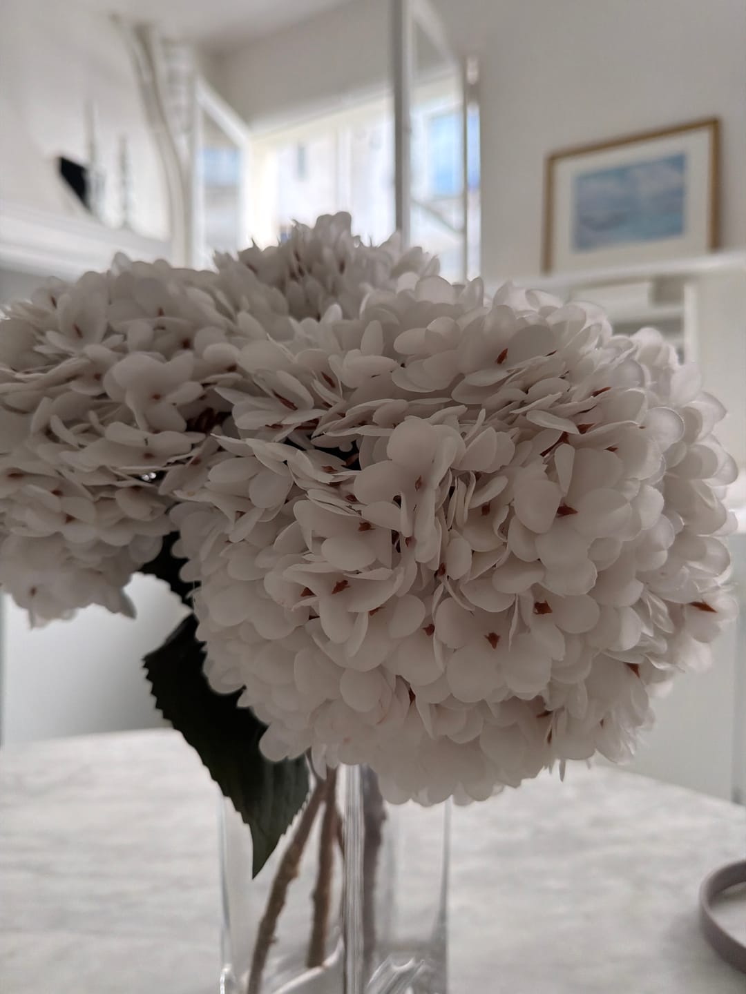 Customer photo review of Grande Hortensia (5 tiges) - Blanc