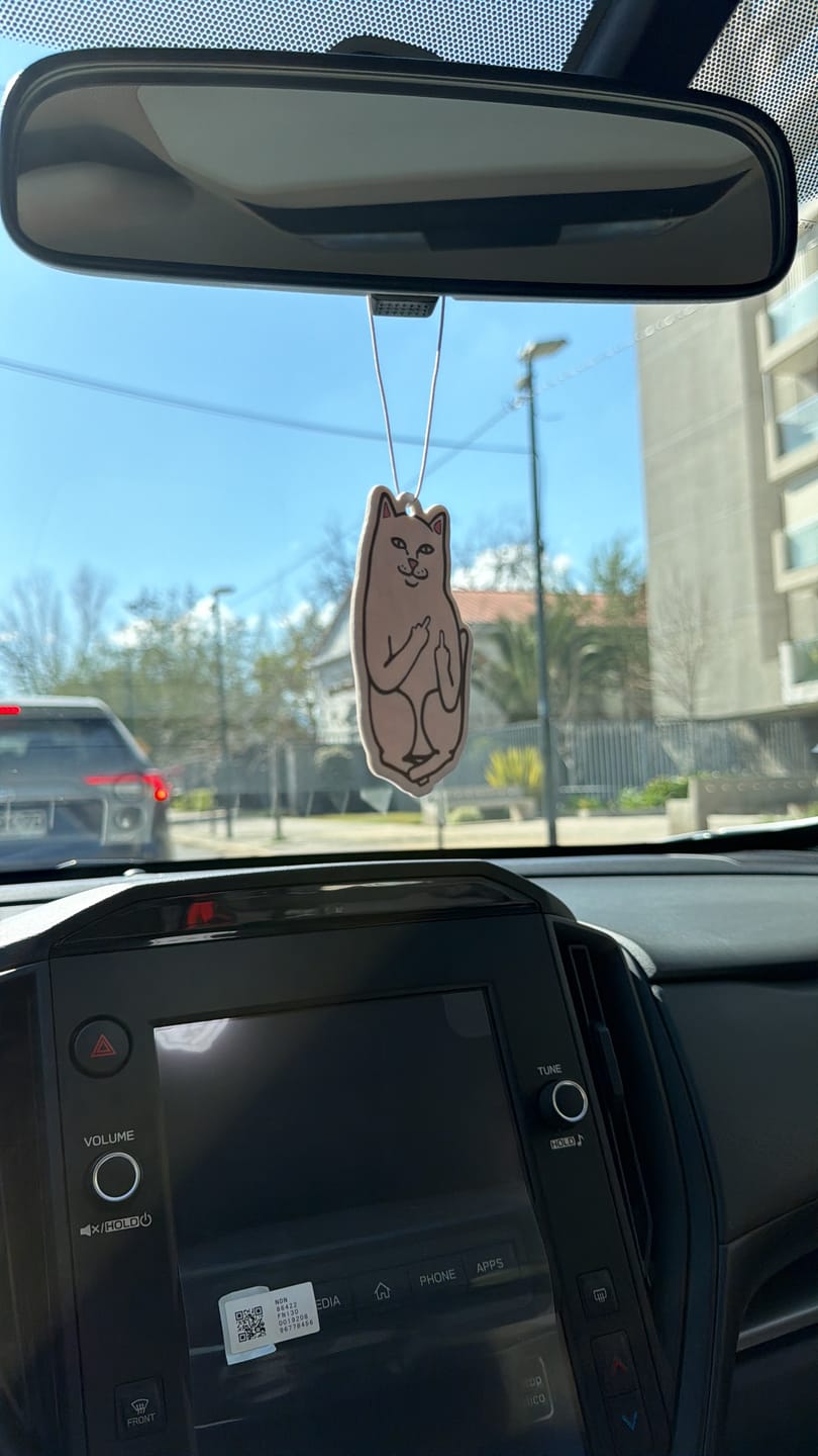 Customer photo review of Accesorios Ripndip  Aromatizador Lord Nermal