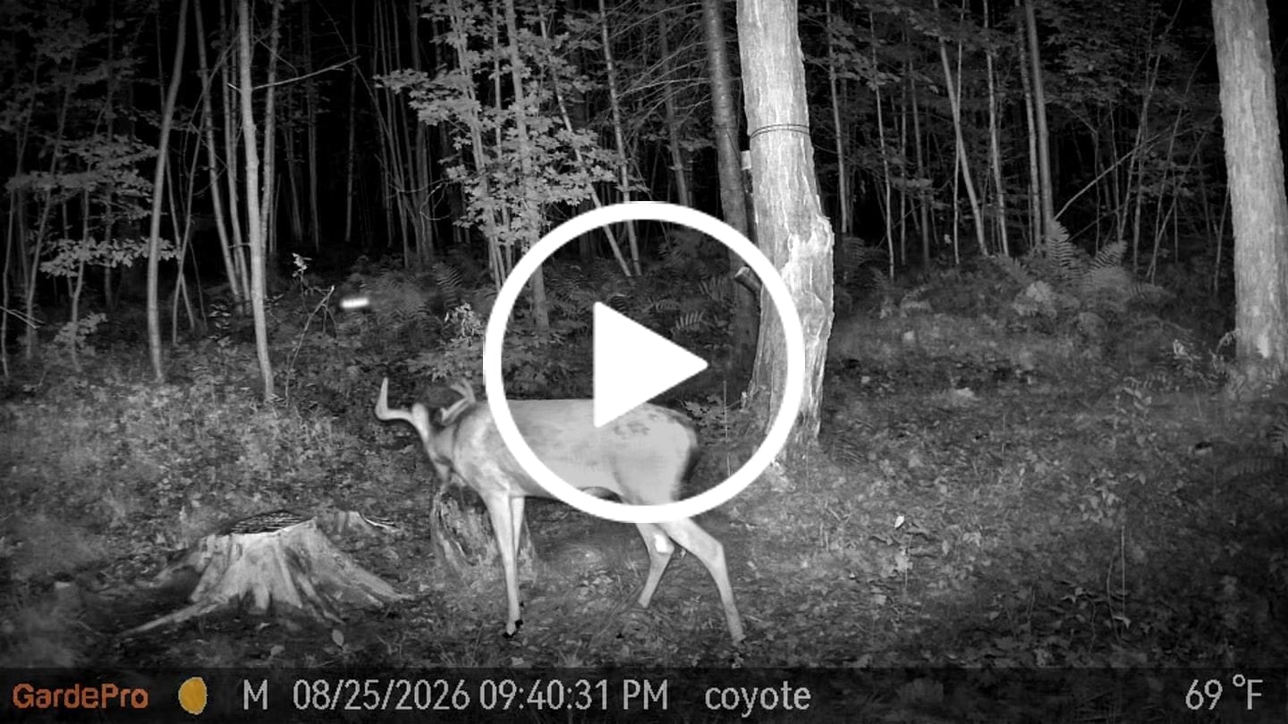 Customer video review of GardePro Link 1.0 3000ft(1km) Long-Range Wireless Trail Camera