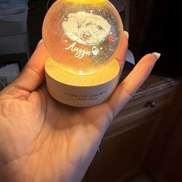 Customer photo review of Personalized Pet Portrait Crystal Ball Night Light