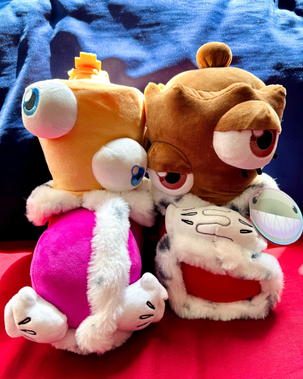 Customer photo review of Queenie Plush