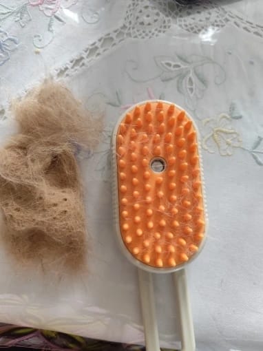 Customer photo review of Premium pet brush with steam function