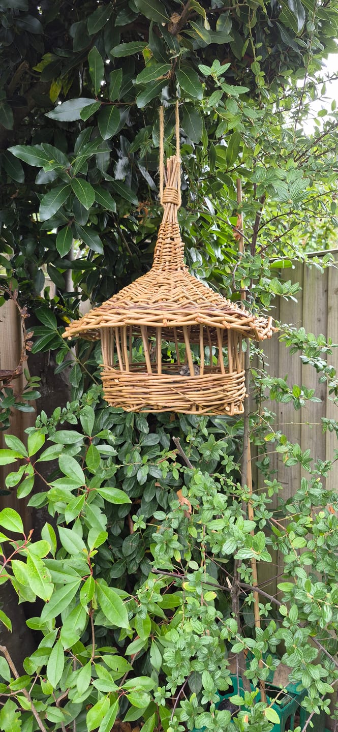 Customer photo review of The Willow Bird Feeder - Course and Kit