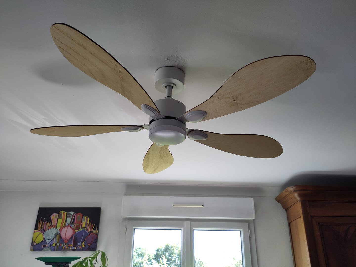 Customer photo review of Libellule teinté Chêne | Ventilateur de plafond