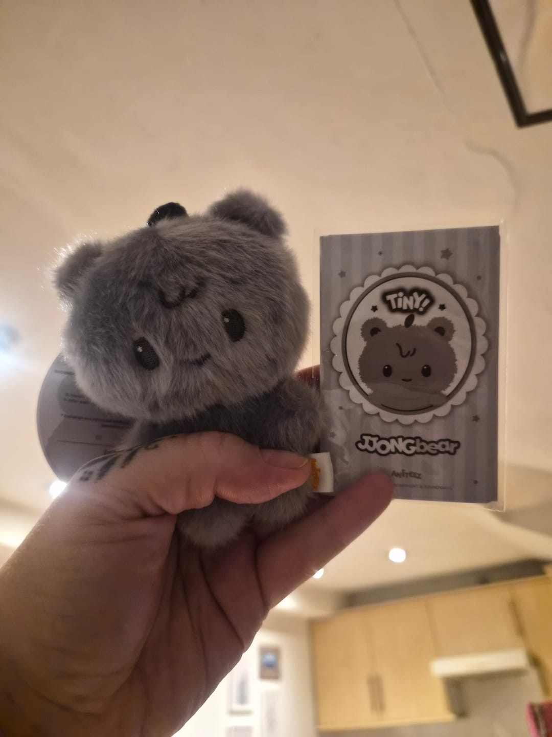 Customer photo review of [NEW] ATEEZ - [ANITEEZ IN COLOR] COLOR TINY ANITEEZ DOLL