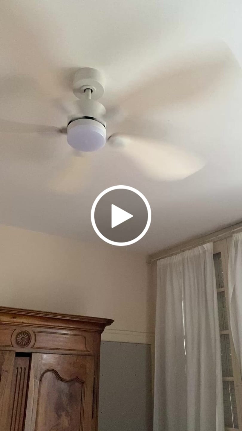 Customer video review of Libellule | Ventilateur de plafond