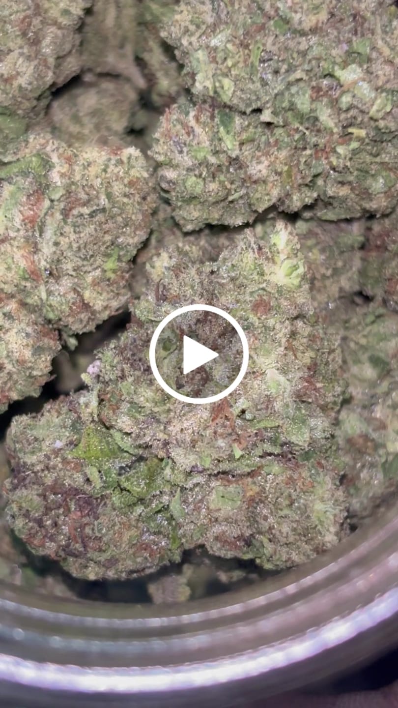 Customer video review of Blue Sharpiez THCA Flower