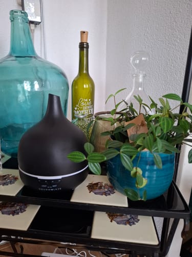 Customer's matte black Geurwolkje Aroma Diffuser placed on a table next to a green potted plant.