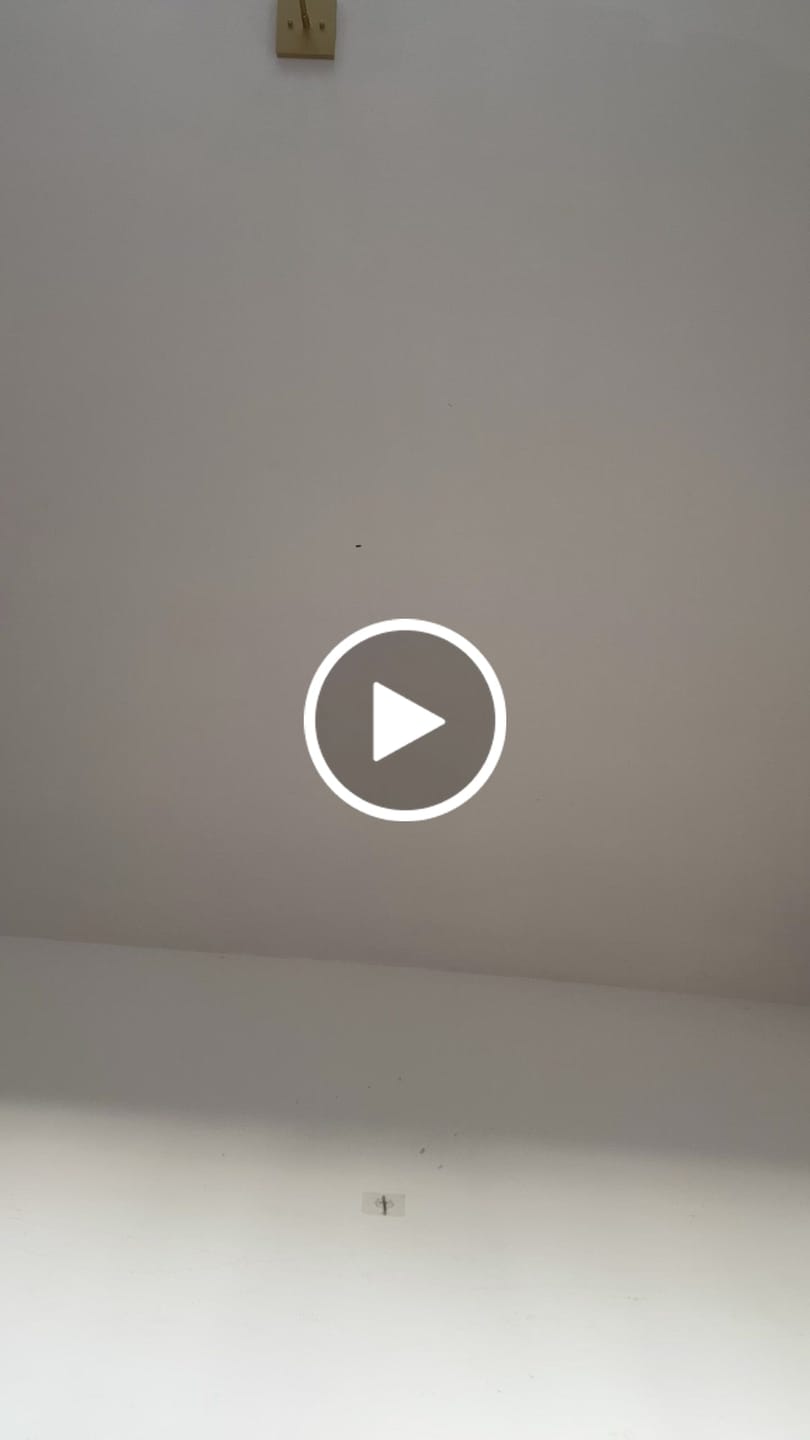 Customer video review of Kid's Bugle - Barefoot Shoes