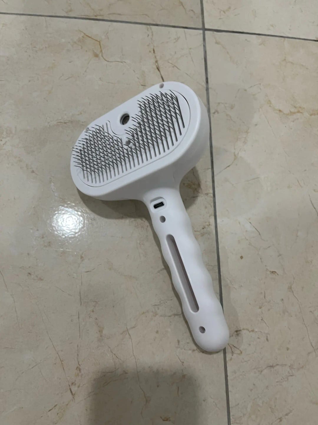 Customer photo review of Premium pet brush with steam function