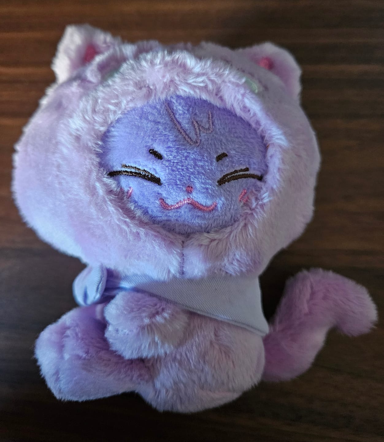 Customer photo review of ATEEZ - ANITEEZ IN COLOR POP UP OFFICIAL MD ANITEEZ X TINY PLUSH KEYRING