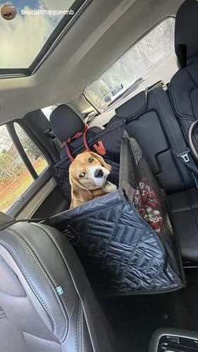 Customer photo review of Marlo&Co™ Single Seat Adventure Bundle