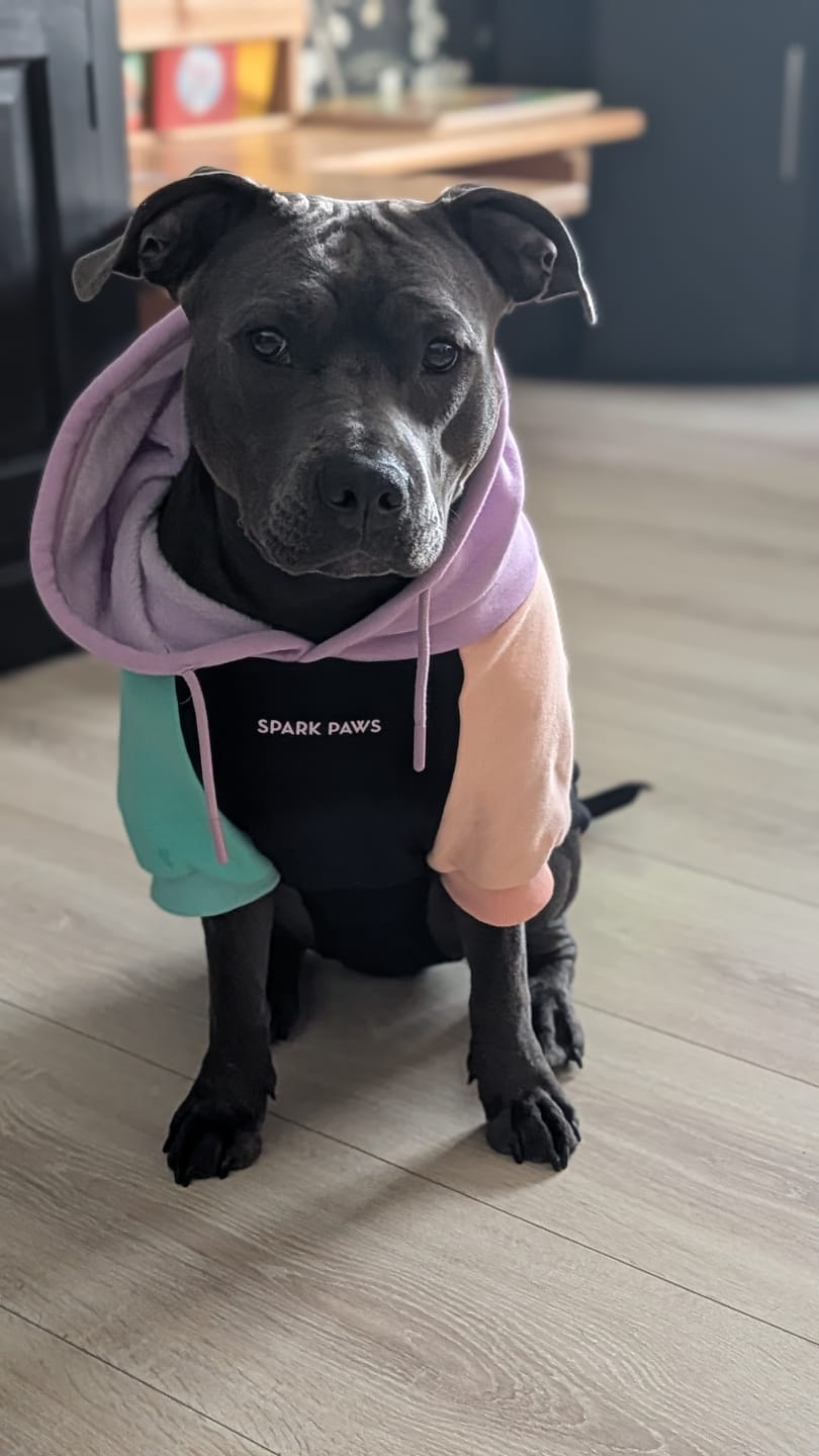 Customer photo review of Cyber Punk Dog Hoodie