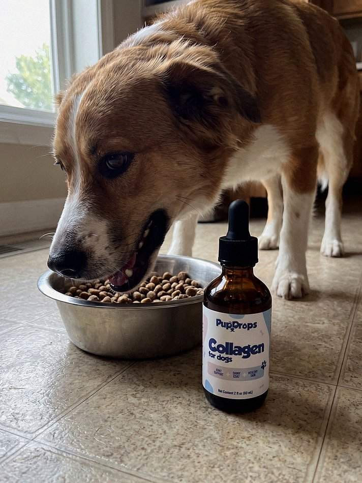 Customer photo review of Liquid Collagen for Dogs by Pupdrops