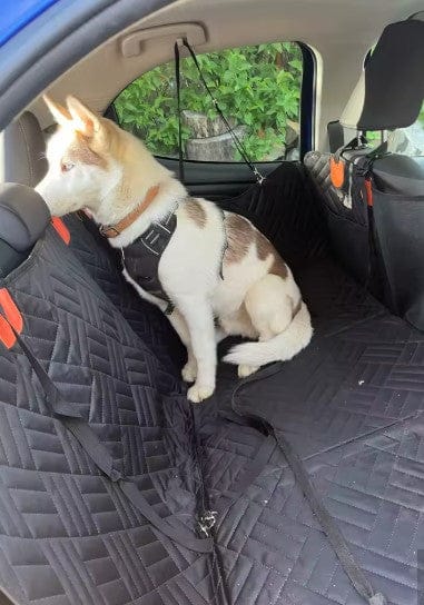 Customer photo review of Housse de voiture pour chien - Fond rigide