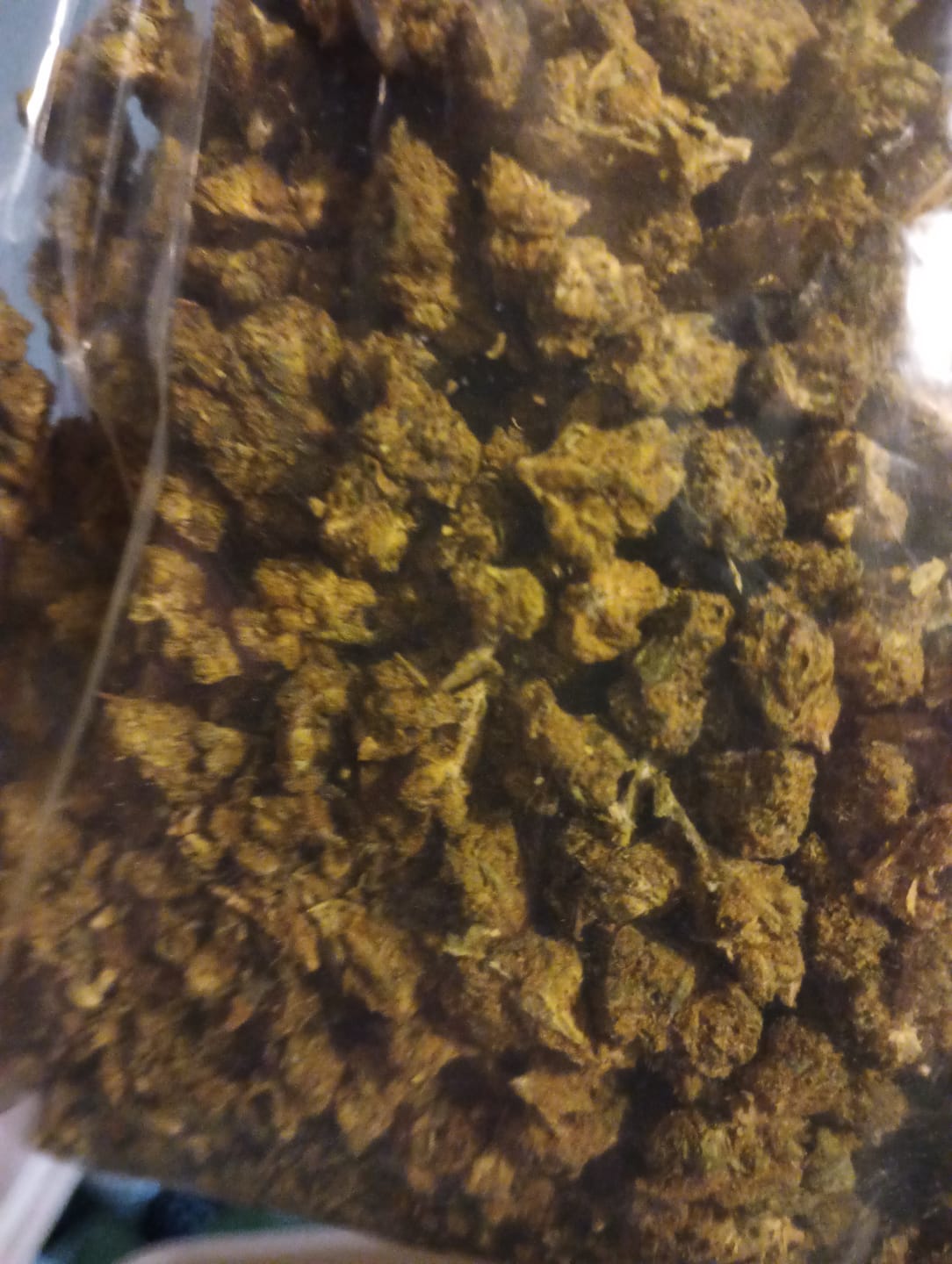 Customer photo review of THCA Flower Budget Buds