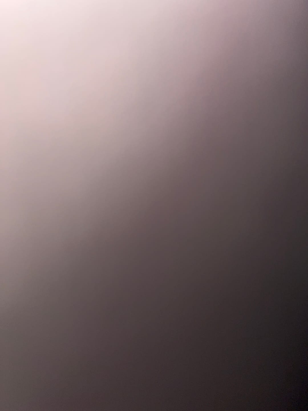 Customer photo review of Mesh bracelet silver/rosé gold