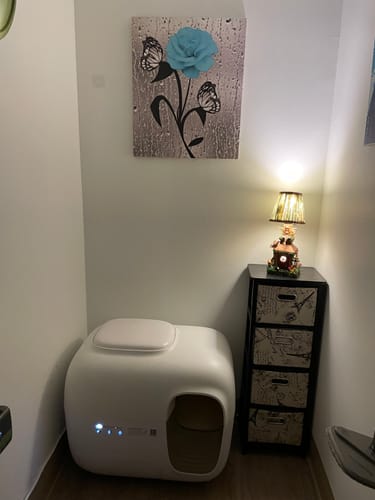 Customer photo review of Replacement Globe