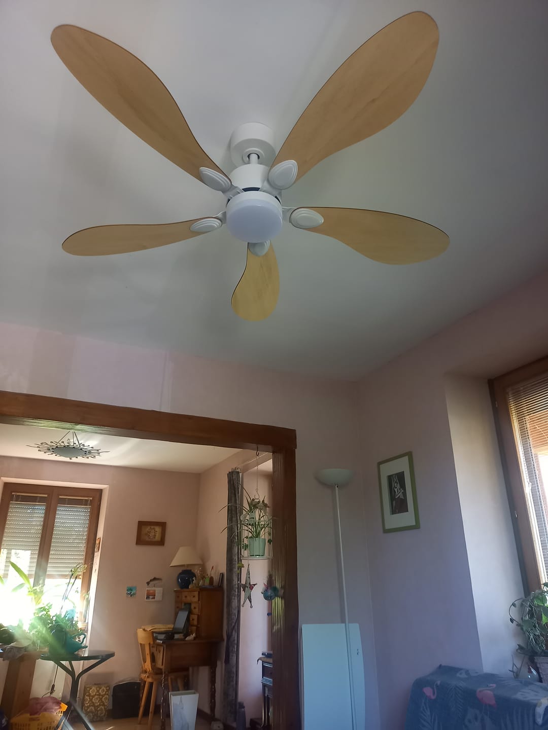 Customer photo review of Libellule teinté Chêne | Ventilateur de plafond