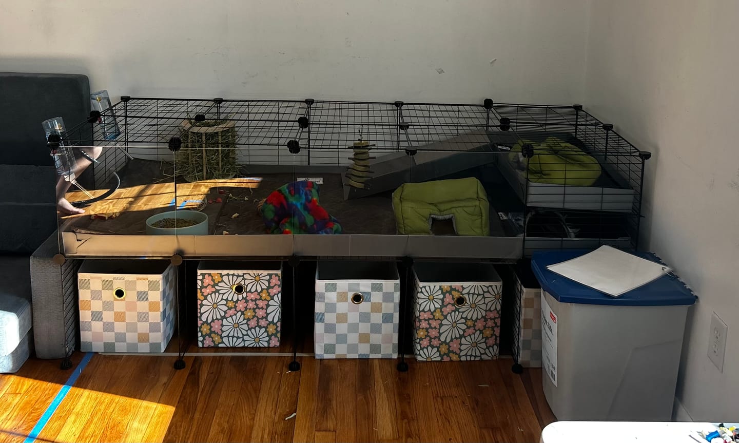 Customer photo review of The Kavee C&C Habitat - 5x2