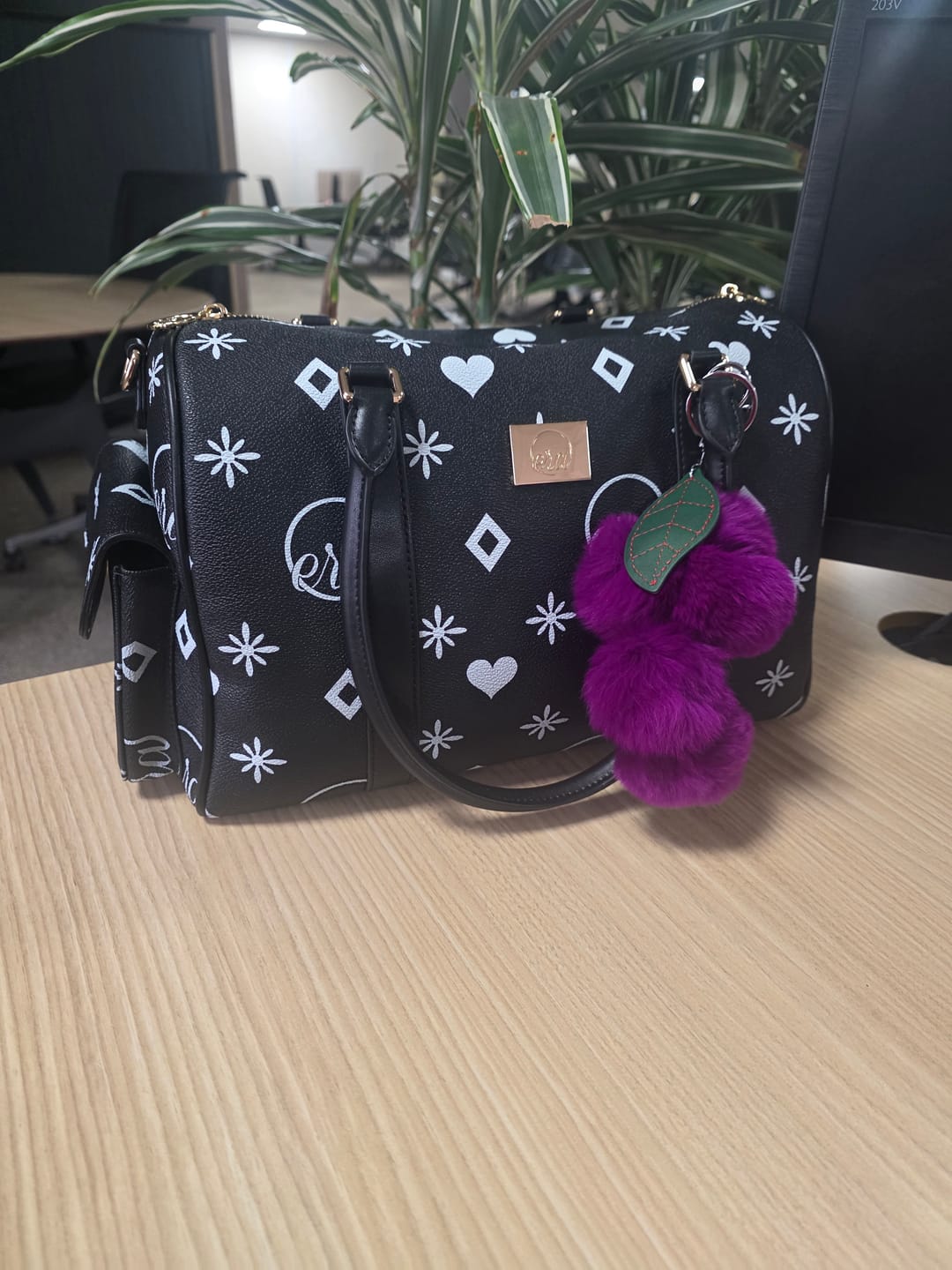 Customer photo review of Go Getter Bag