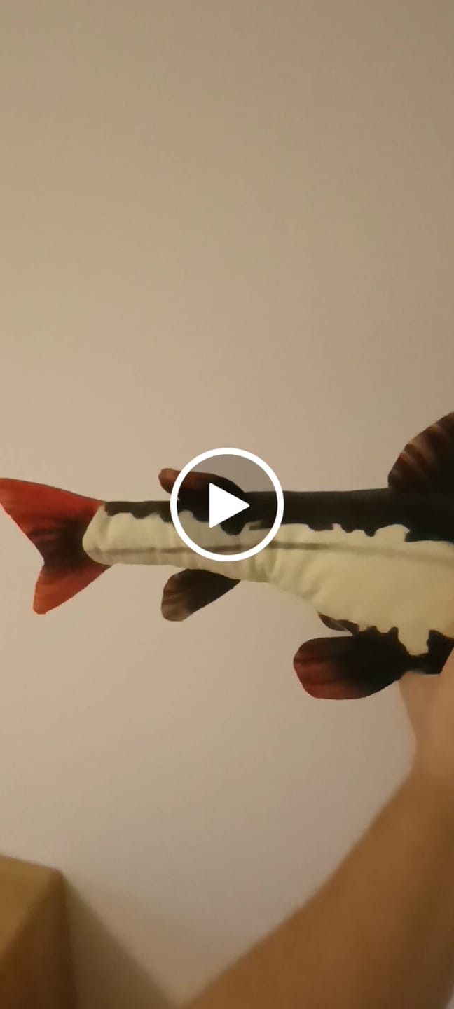 Customer video review of Redtail Catfish Soft Stuffed Plush Toy