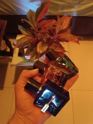 Customer's hand holding three Kit Adonis perfume bottles in front of a houseplant.