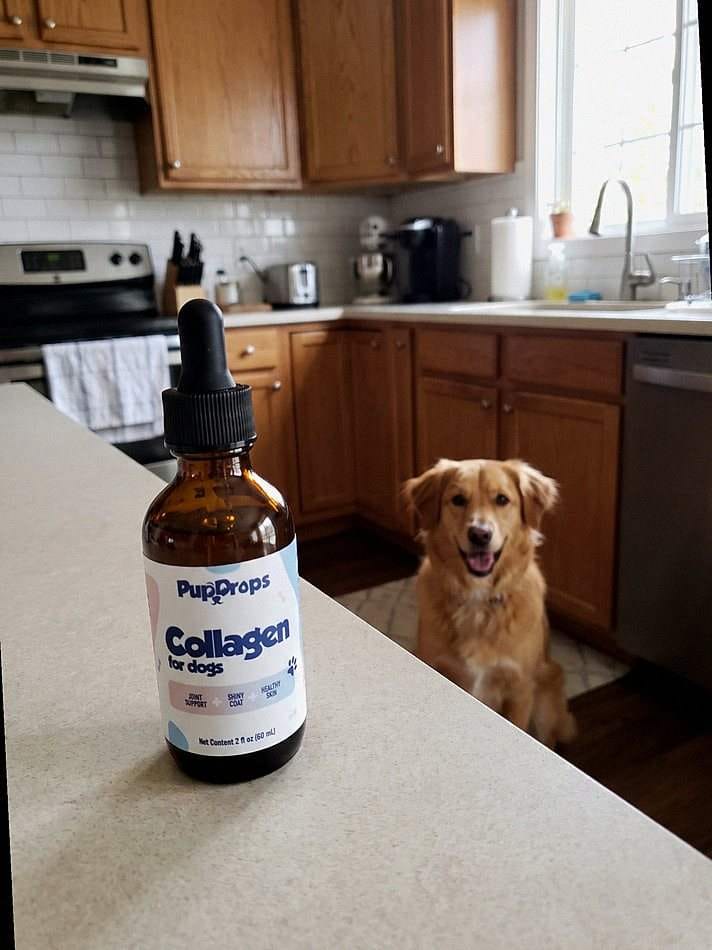 Customer photo review of Liquid Collagen for Dogs by Pupdrops