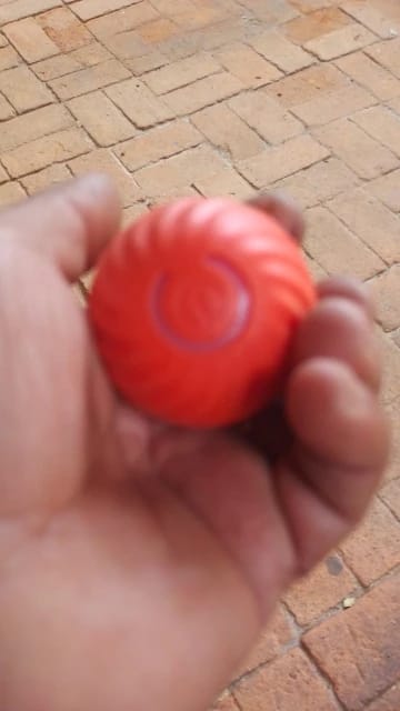 Customer photo review of Pelota Interactiva para Perros y Gatos – Movimiento Automático + Carga USB-C