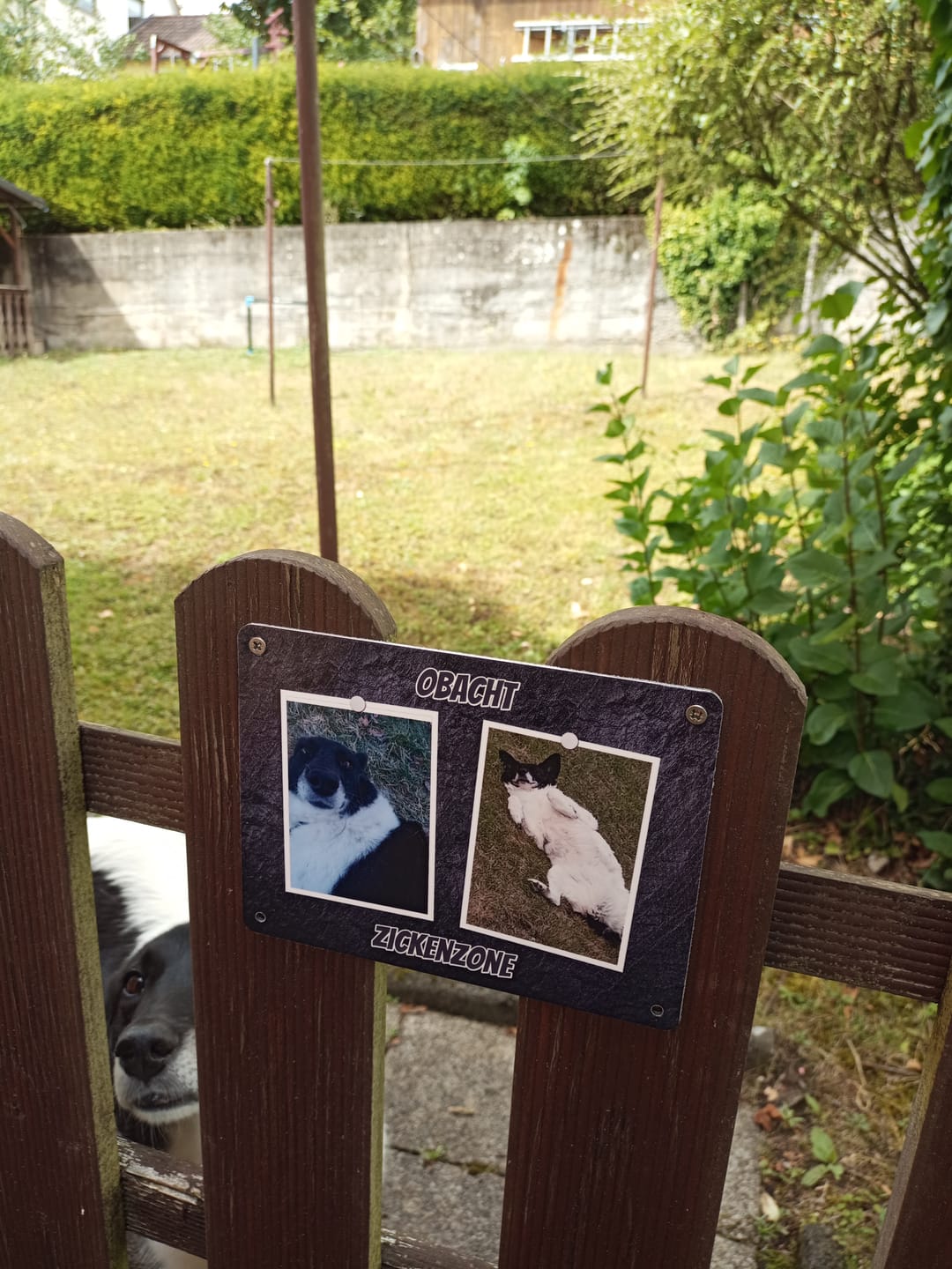 Customer photo review of Hunde-Türschild personalisiert mit Foto & Text (UV- und wetterfest)