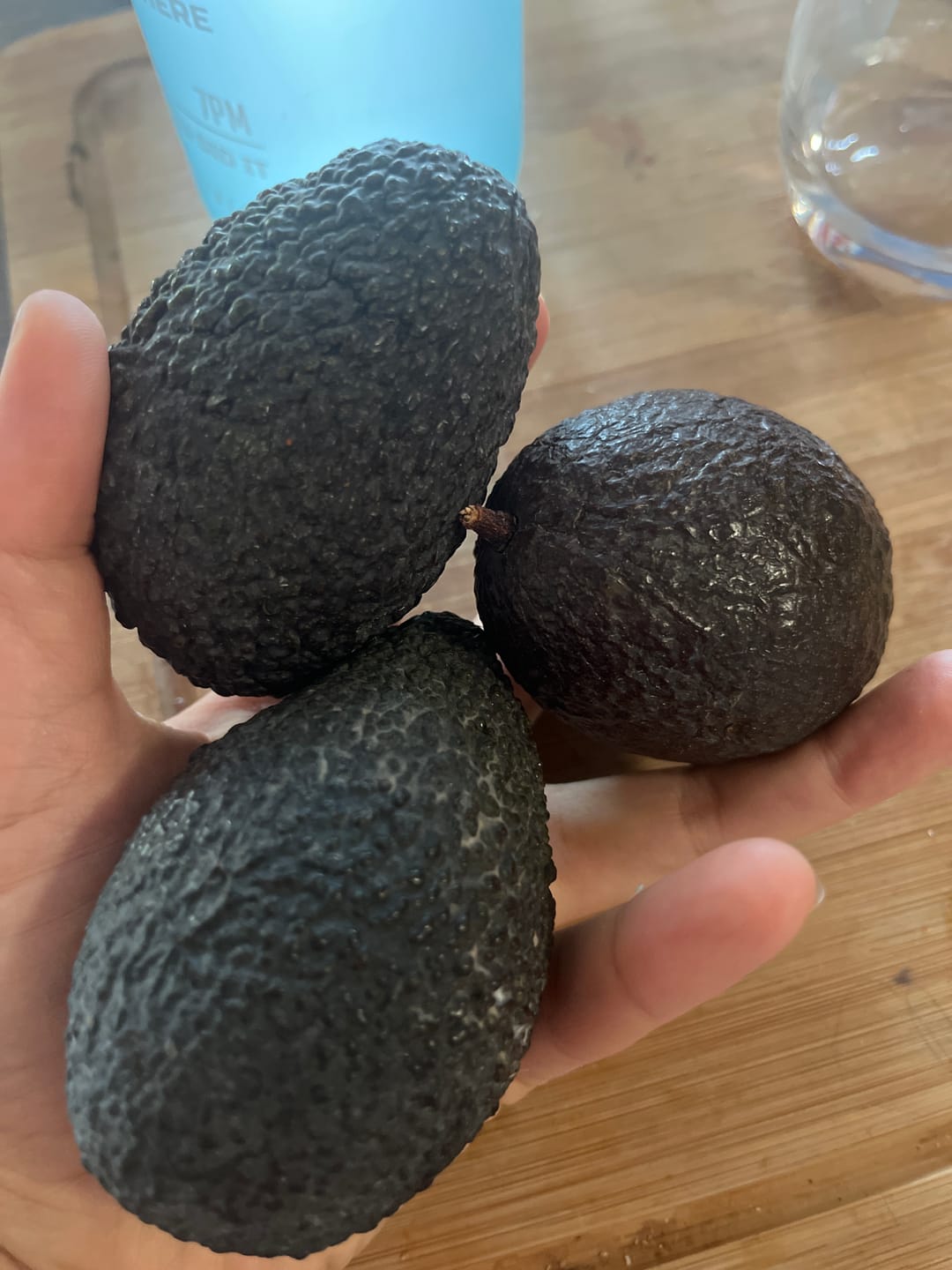 Customer photo review of Avocado Hass 15 Monate baumgereift von Julian