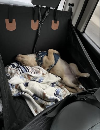 Customer photo review of Marlo&Co™ Single Seat Adventure Bundle