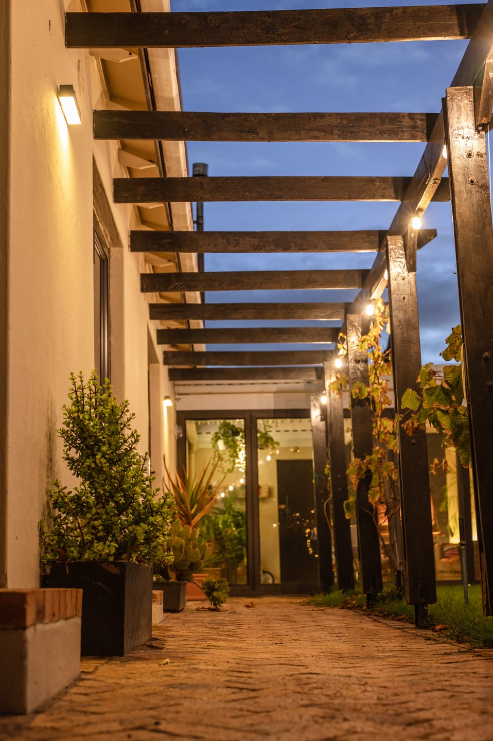 Customer photo review of Solar Festoon Bulb String Lights