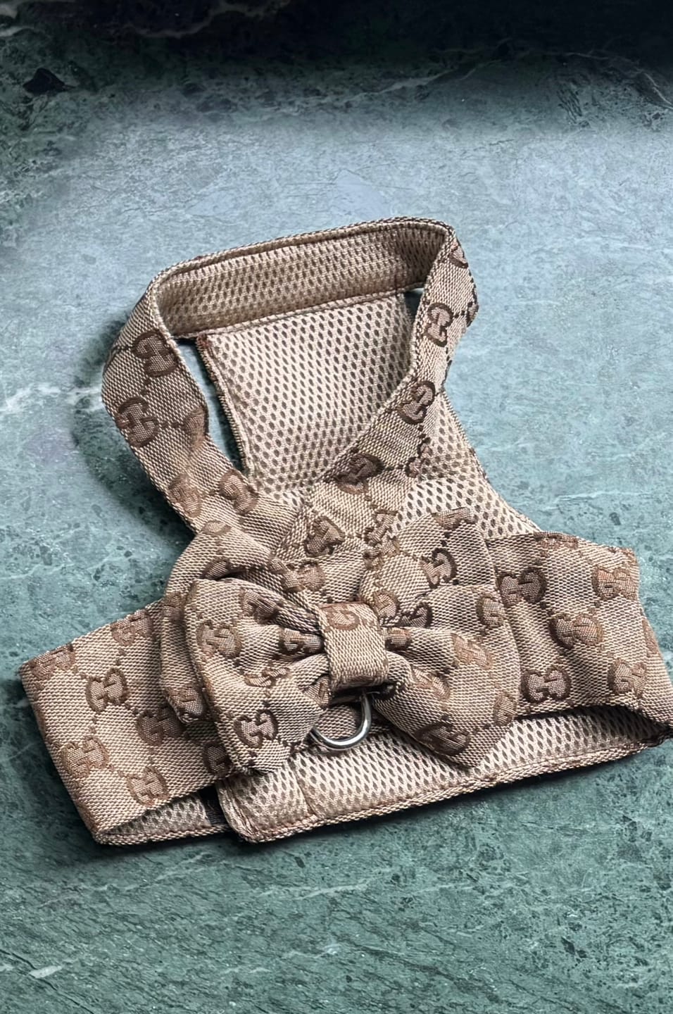 Customer photo review of Belle Bow Harness